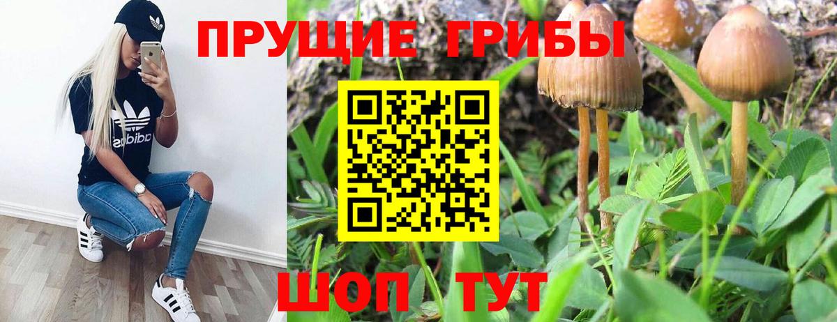 Нововоронеж  Псилоцибиновые грибы мицелий  Вход с VPN 
