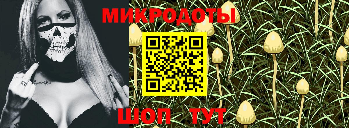 Псилоцибиновые грибы мухоморы Нововоронеж